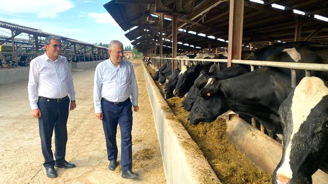 رئیس فراکسیون کشاورزی پویای مجلس از شرکت کشت و صنعت پارس بازدید کرد/قطعی برق و کمبود نهاده‌ها کاهش تولید شیر را به همراه داشته است